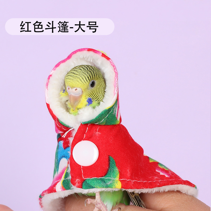 큰 망토--[북동 큰 꽃] Xuanfeng Xiaotai