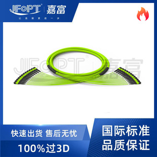 10g Mpo/Mtp Optical Fiber Jumper 72 96 144 288-Core Branch Pigtail Multi-Core Low-Damage Multi-Mode Single Mode
