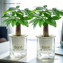 �lؔ��С�����҃�ֲ��ˮ��lؔ��͏d�k���һ�������Gֲ���B����