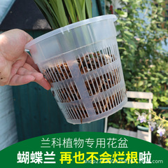 根をコントロールする鉢の蘭の専用のたらいのプラスチックの通気性の腐った胡蝶の蘭の水培器の皿の緑の花の鉢のデスクトップのたらい