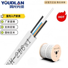 室内皮线光缆GJXH-2芯电信级光纤入户上网传输稳定网速快可定制
