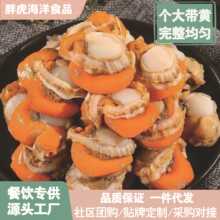 扇贝肉大号鲜活新鲜批发一整箱真空包装带黄冷冻全贝