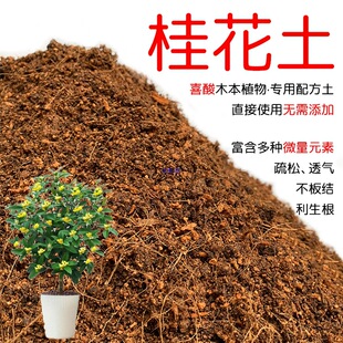 �����I�B�����Խ���ļ��𻨘������¹��y��軨�ЙC����