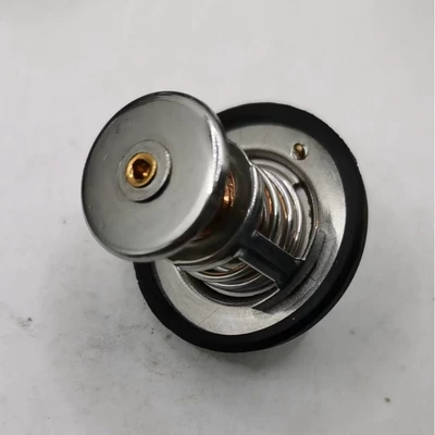 Thermostat thermostat 2485