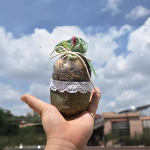 �鲼�����s�Lľâ�����ȥ��ζ��܇������ҾӾƵ�[����޹�YƷ