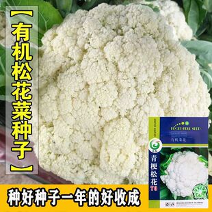 �ɻ��˷N���๣��Ҭ��̨�����˷N��70�����촺�����߲��ݷN��