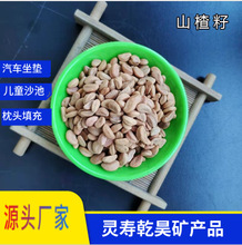 厂家批发水洗山楂籽沙池儿童玩具沙子汽车座垫枕头坐垫填充山楂子