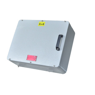 Customized Explosion-Proof Junction Box Cast Aluminum Stainless Steel Lighting Power Control Distribution Box Instrument Socket Power Box Protection