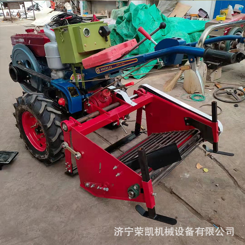 挖马铃薯红薯 (4)