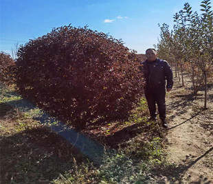 ���Ի�����֦�t�~���� ���~���� ����M �G�h���̼t�~����