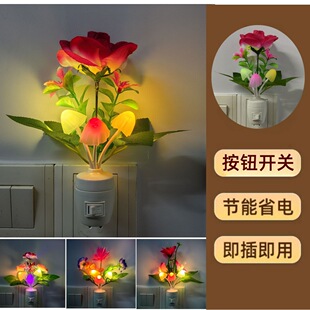 �߲ʲ���ք��_�PledСҹ�� �������b����Ҵ��^�ڟ���YƷ����