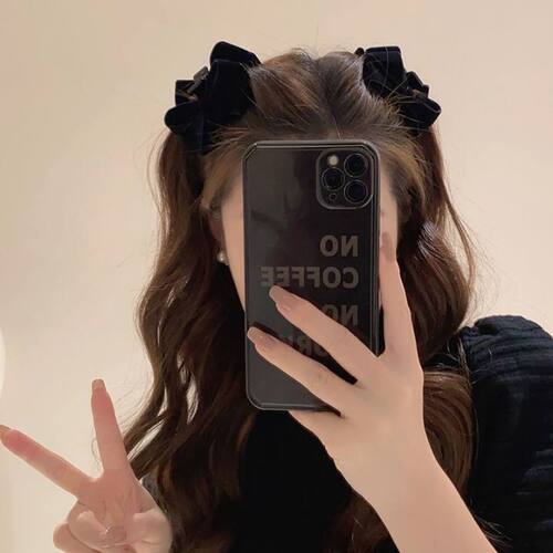New half-up hair style small claw clip for women, high-end princess hair accessories, clip at the back of the head, front forehead, side hair clip