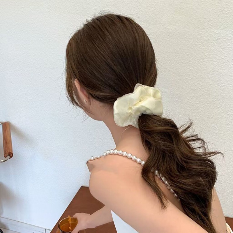 Elegantes Großes Haargummi Aus Mesh Schlichtes Haaraccessoire_voghion.com