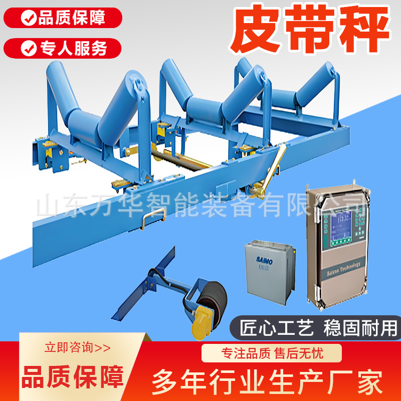 矿用电子皮带秤码头港口用配料计量秤定量给料机带式秤调速皮带称