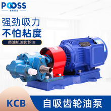 普斯齿轮油泵电机KCB两相220v机油柴油泵380大流量高压输油自吸泵