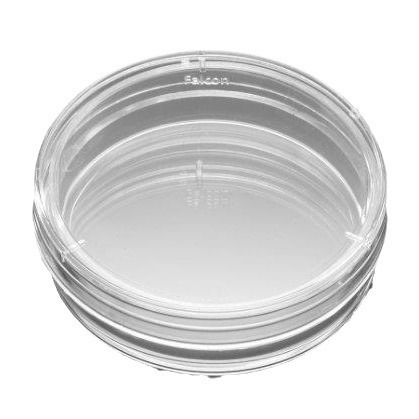 3450Corning康宁 Transwell细胞小室 PET(聚酯)膜 TC表面 6孔板