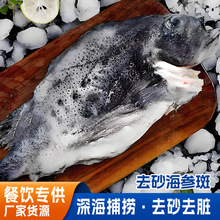 �����߱��u�M��ȥɰ���������rȥ���Kȥɰ��̎��ʯ���~