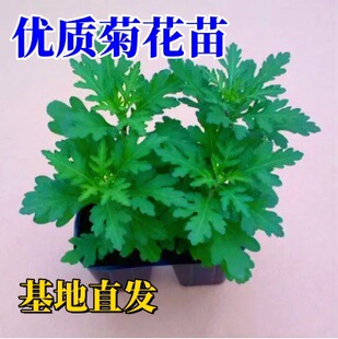 ��ջ������Ե����ļ��_�����^�p��ʳ���҃����̨�ͺ�����B��