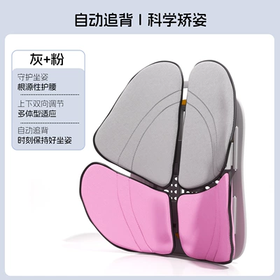 tool, lumbar support, Waist support - graypink-comfortable-leather
