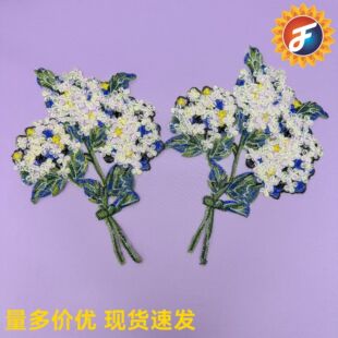 �Sɫ���٘��~�ٽz�̽����b�o�� �W�������佑�����N���Ьñ�b�