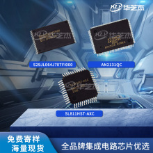 SL811HST-AXC S29JL064J70TFI000 AN2131QCԭ�b�����·оƬ