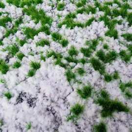 仿真苔藓草坪撅类绿植仿真仿真青苔草坪植物苔藓绿植仿真厥类