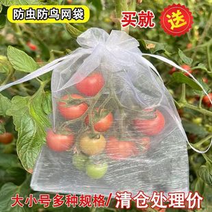 ���x���B��ݮ���o�״�͸ˮ͸����x���W�����џo�������ѾW�۴�