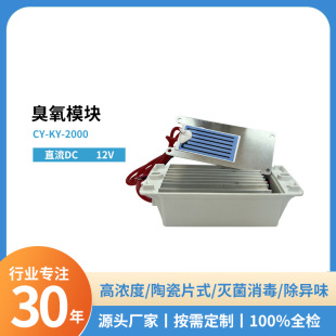 Source manufacturer DC 12VDC ceramic chip 2g high concentration ozone module generator professional sterilization