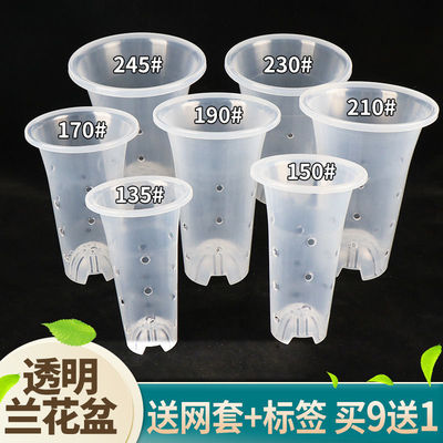 蘭花專用花盆塑料蘭花盆塑透明透氣排水蘭盆綠蘿綠植花卉盆栽