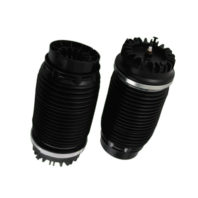 2 Rear Air Asqı sistemi / Xodovoy hissələr