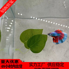 水族宠物装饰仿真观赏水草鱼缸造景人造仿真斗鱼叶子休息叶产卵叶