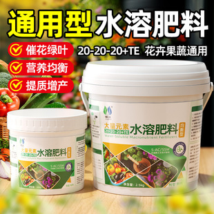Water-Soluble Fertilizer, Macro-Element Balanced Fertilizer, Nitrogen, Phosphorus and Potassium Fertilizer, General Granular Fertilizer for Flowers, Money Trees and Succulents