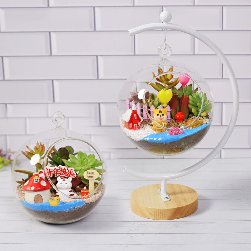 16 новогодний мясистый G кронштейн стеклянный шар бутылка подарок в горшке микро бонсай стол мясной посадочный материал сумка