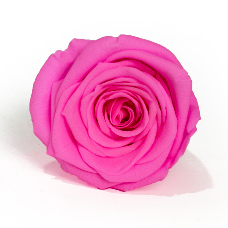 Flores Eternas de Yunnan, Grado B, 3-4 cm, 10 Piezas, Ramo Hecho a Mano al por Mayor, Flores Secas, Materiales para Manualidades, Cabezas de Rosa Eterna