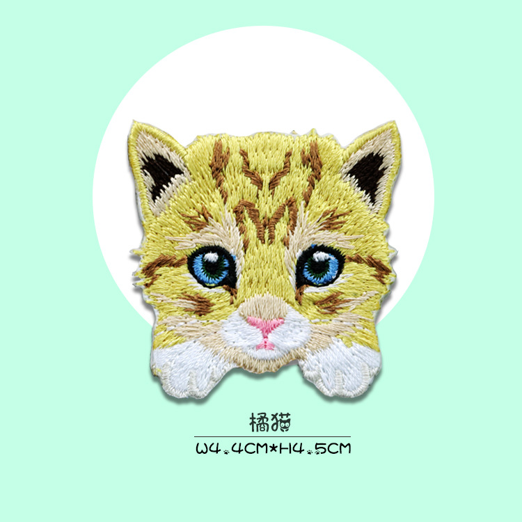 橘猫.jpg