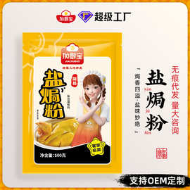 商用装调味料盐焗鸡粉500g包装网红直播带货调料粉厂家批发定制
