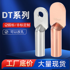 DT单孔铜鼻子冷压接地接线端子国标黄铜铜接线鼻子冷压电缆可改孔