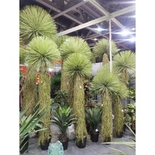 �ָ�ܛ�z��������ֲ��ɳ���Gֲ���Է��浾���˾Gֲ�٘侰�^�쾰��