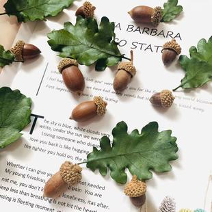 黹��ɻ���������յ���DIY���ϸɻ���������ˇ������������~��