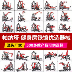 パナタフィットネス機器 スクワット、バックプル、チェストプッシュ、ショルダートレーニング、ヒップエクスパンション、ローイングマシン、ジム機器一式
