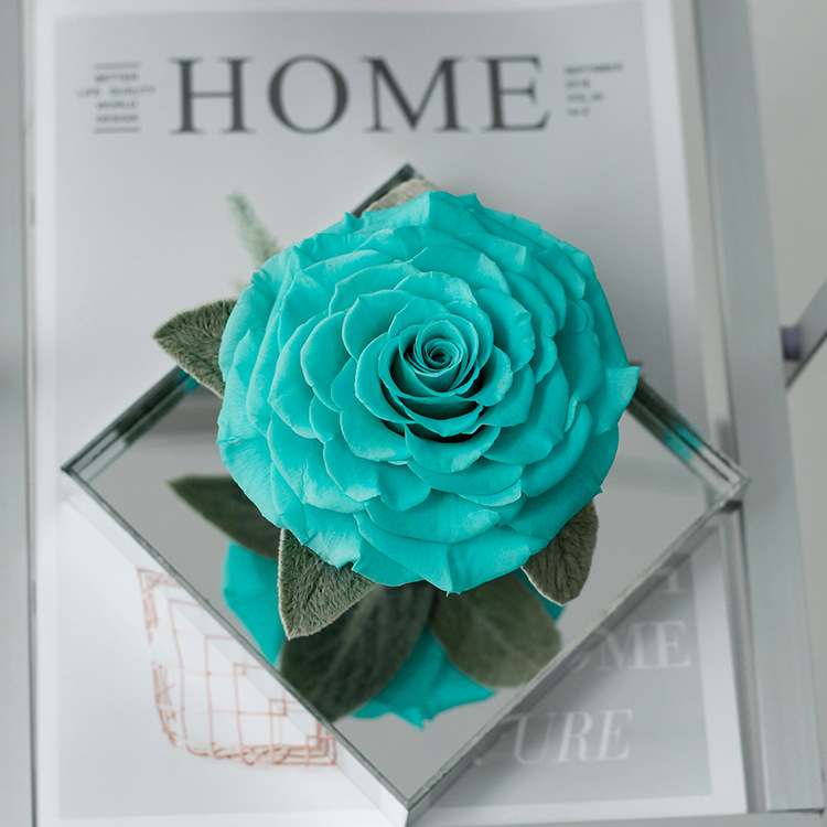 Flor preservada, producto terminado, rosa gigante acrílica, flor real al por mayor, regalo de San Valentín para novia, degradado cielo estrellado