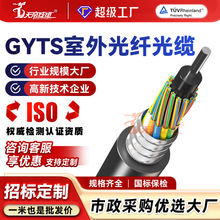 �ӹ�����GYTSGYTA�����ģͨӍ���|4 8 12 48 96о�z�b�ӽgʽ���|