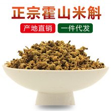 霍山米斛石斛枫斗仿野生批发花苗礼品盒鲜条盆栽铁皮石斛即食