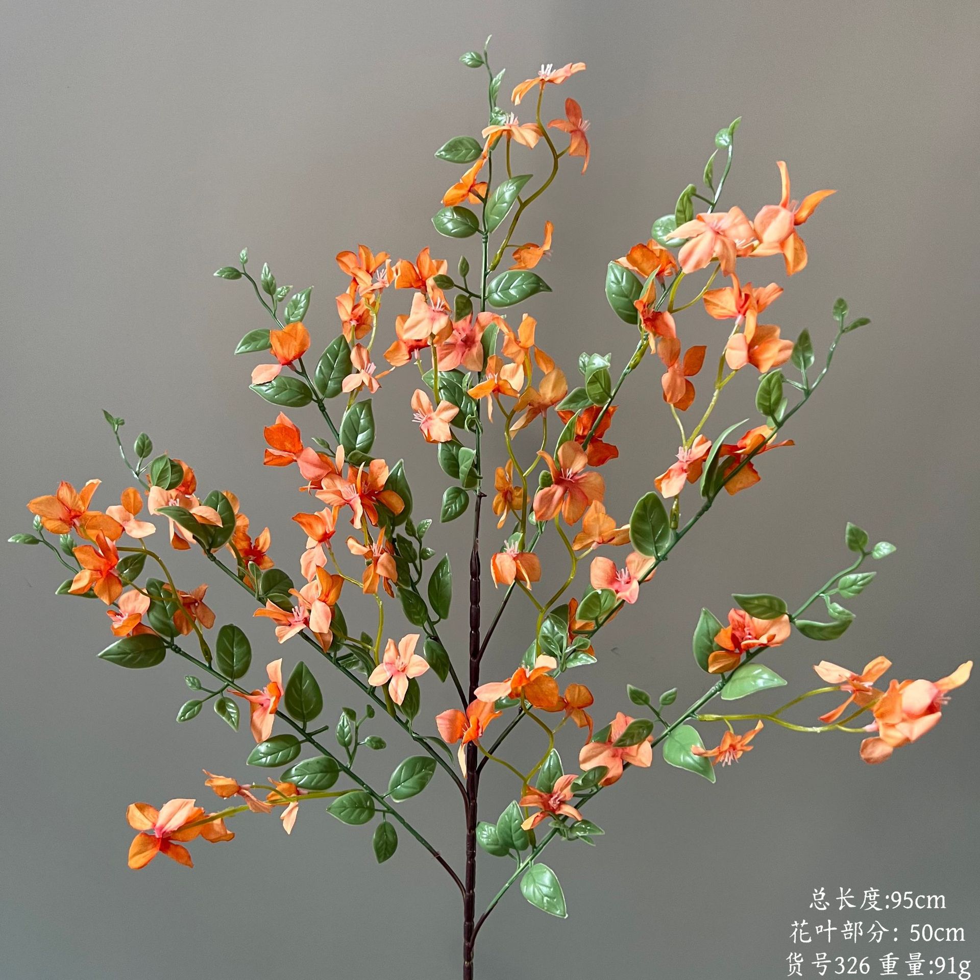 품목번호 326-Qilixiang-