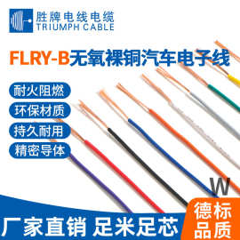 FLRY-B汽车PVC电子线0.35MM-6.0MM德系汽车线束低压汽车电器连接