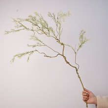 ����ֲ��͏dǧ�����֦�쾰�҃ȾGֲ���^�º��Ļ�ľ�٘��������