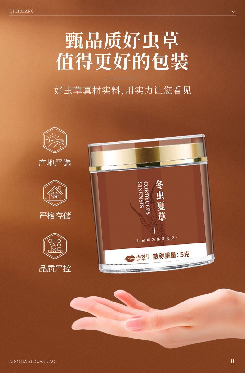 Dried Cordyceps Sinensis Broken Stems 5g Jar Tibetan Plateau Whole Dried Cordyceps for Cooking preparation