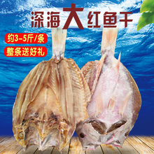 �a����؛�����خa��t�~�ɴ�t���~�ɺ��r���~���~��؛���l�ͶY