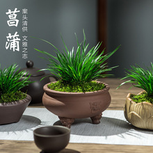 ���Bˮ�������B���辰��ɽ��ʯˮꑸ��쾰�Gֲ�҃�΢���^ˮ��ֲ��