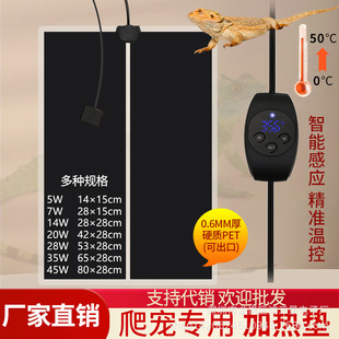 S1���؜������ӟ�|������B�䙙�l��Ƭ���x���~�׼ӟ��Мؾ���